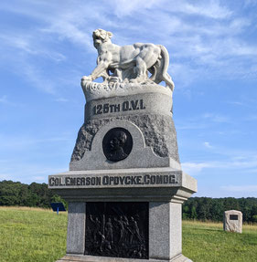 Back with the&nbsp;Tigers